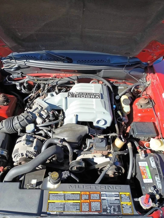1994 Ford SN95 Mustang Cobra - Image 5 of 5