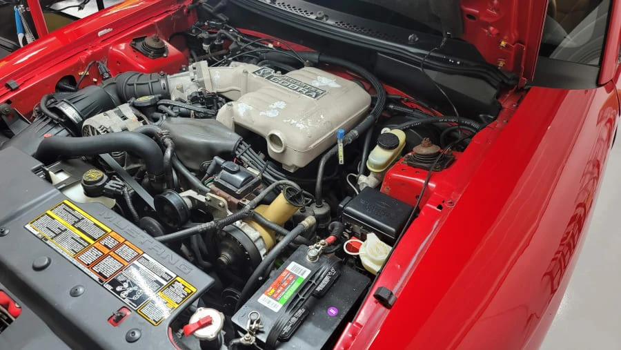 1994 Ford SN95 Mustang Cobra - Image 7 of 21