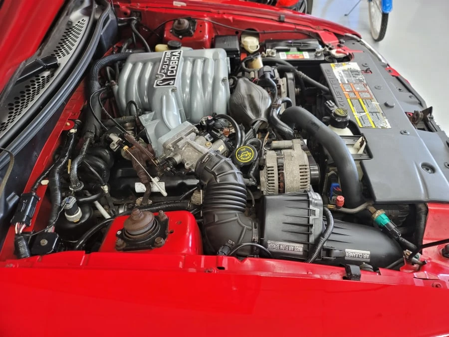 1994 Ford SN95 Mustang Cobra - Image 20 of 20