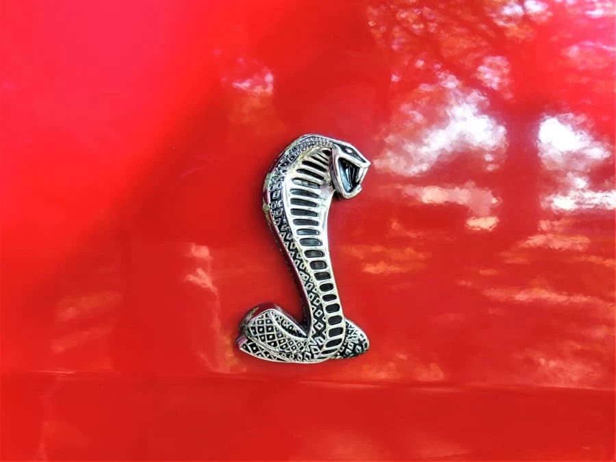 1994 Ford SN95 Mustang Cobra - Image 20 of 31