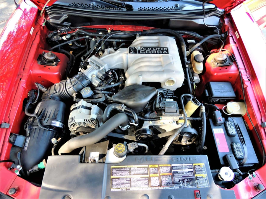 1994 Ford SN95 Mustang Cobra - Image 12 of 31