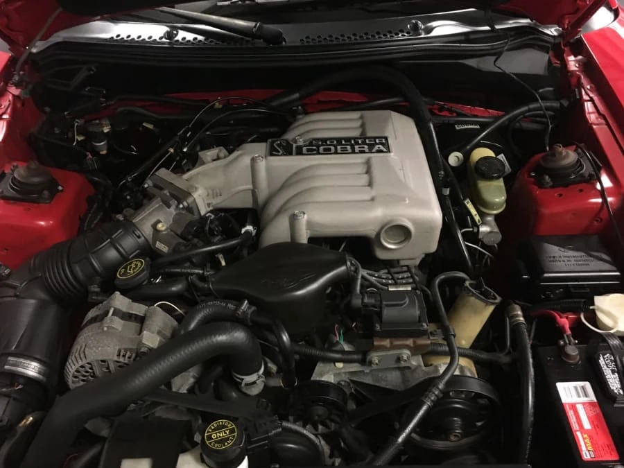 1994 Ford SN95 Mustang Cobra - Image 4 of 4