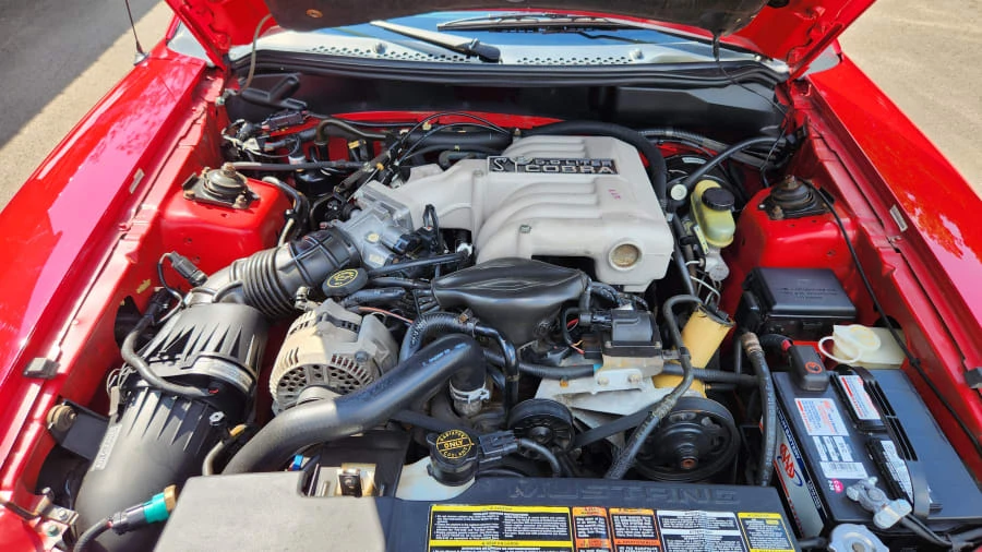 1994 Ford SN95 Mustang Cobra - Image 7 of 16