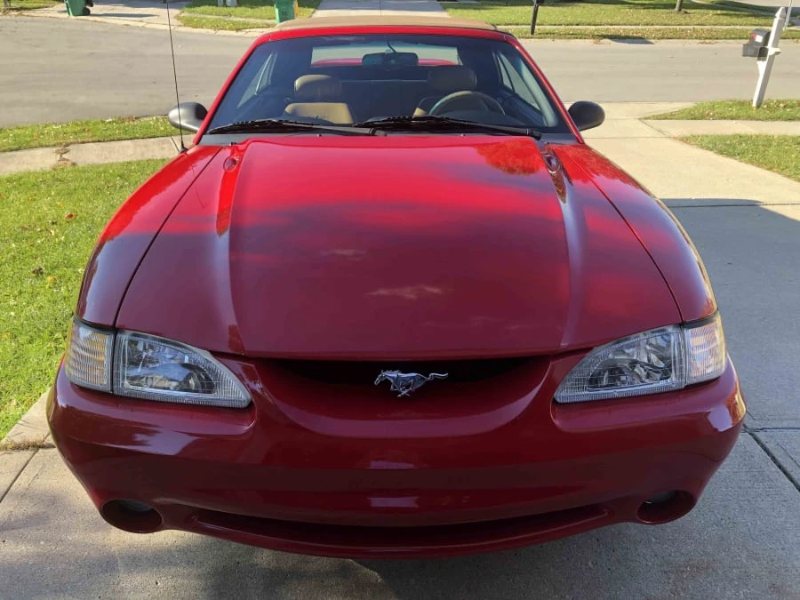 1994 Ford SN95 Mustang Cobra - Image 8 of 12