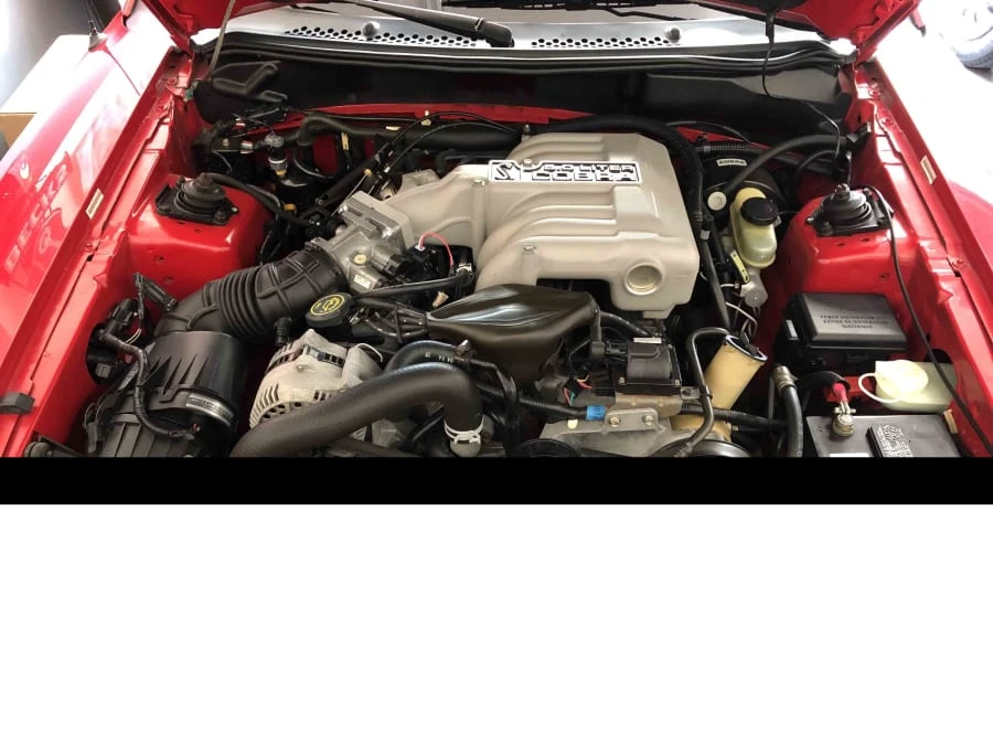1994 Ford SN95 Mustang Cobra - Image 5 of 12