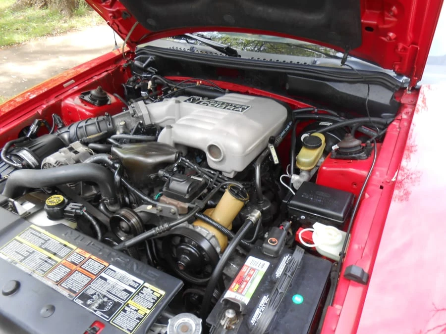 1994 Ford SN95 Mustang Cobra - Image 8 of 12