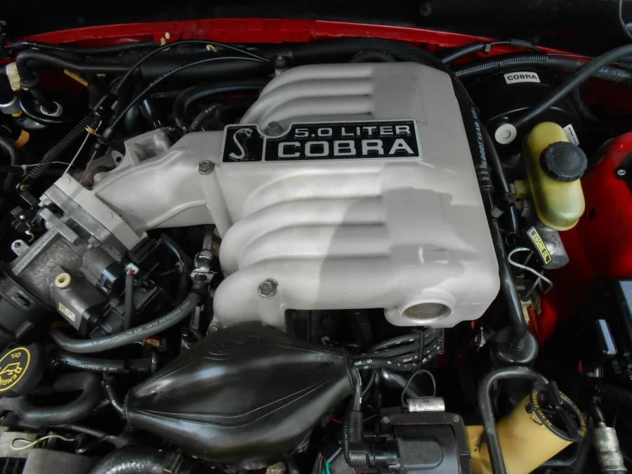 1994 Ford SN95 Mustang Cobra - Image 9 of 12
