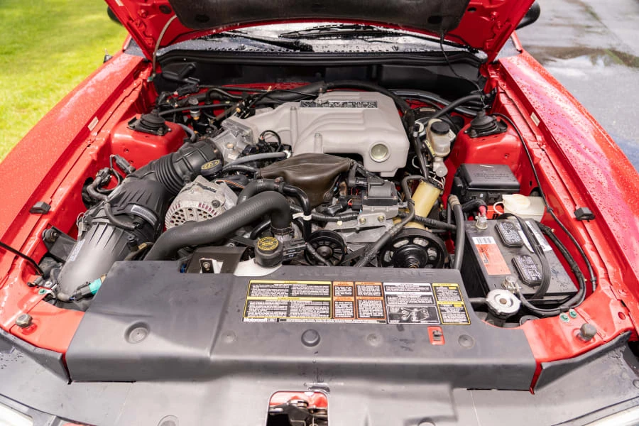 1994 Ford SN95 Mustang Cobra - Image 17 of 20