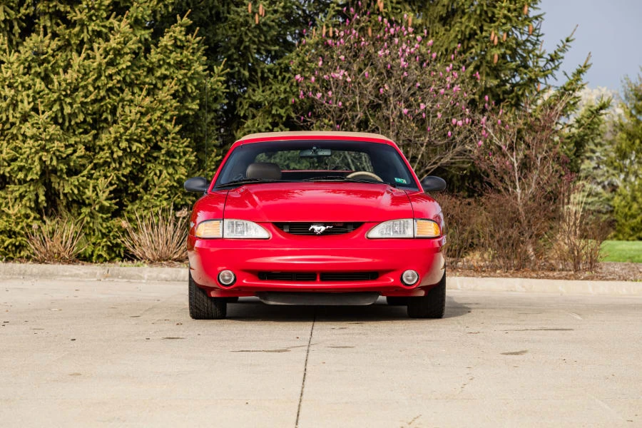 1994 Ford SN95 Mustang Cobra - Image 4 of 31