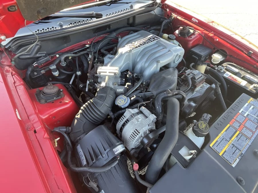 1994 Ford SN95 Mustang Cobra - Image 15 of 16