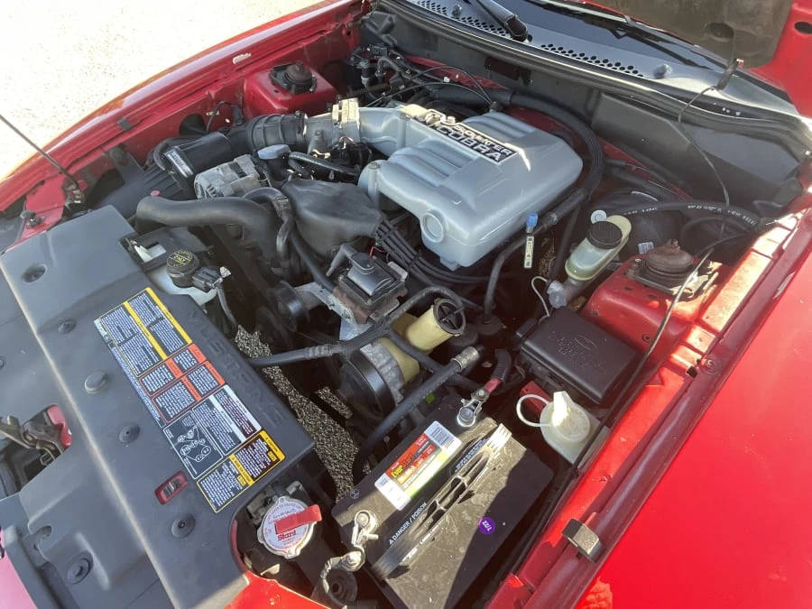 1994 Ford SN95 Mustang Cobra - Image 14 of 16