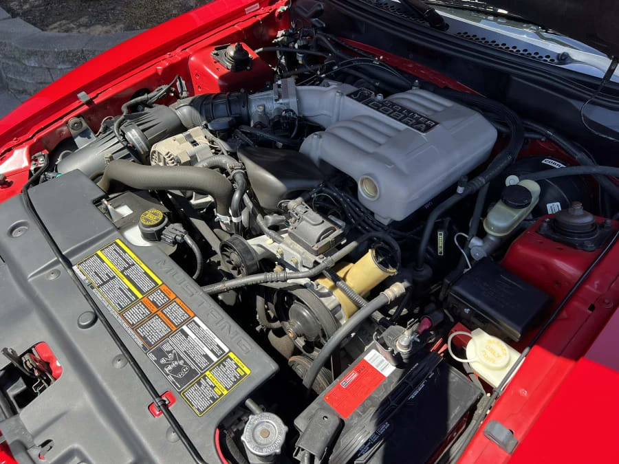 1994 Ford SN95 Mustang Cobra - Image 6 of 9