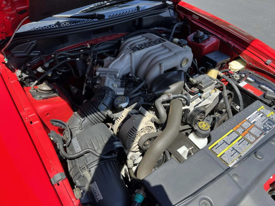 1994 Ford SN95 Mustang Cobra - Image 7 of 9