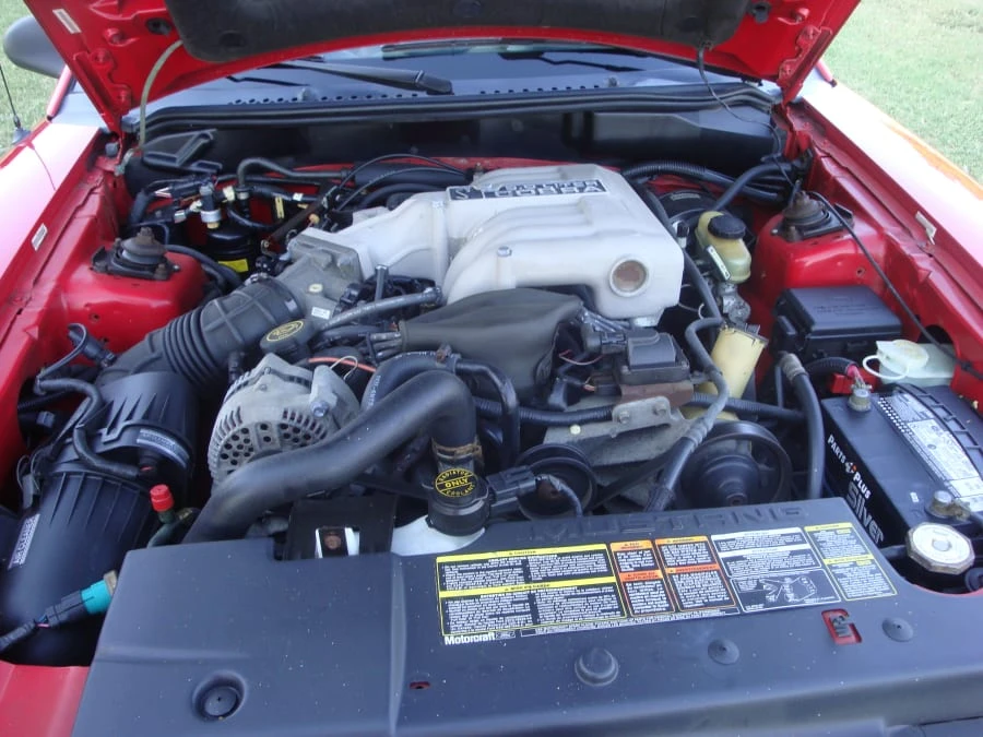 1994 Ford SN95 Mustang Cobra - Image 8 of 8