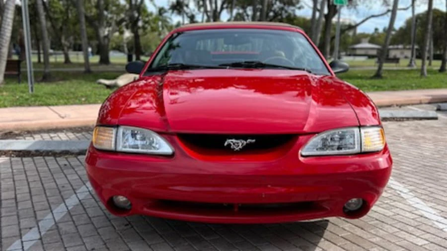 1994 Ford SN95 Mustang Cobra - Image 4 of 14