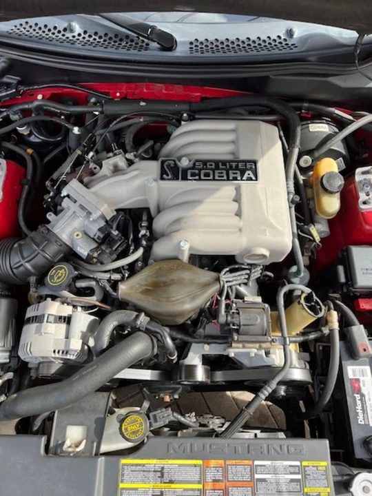1994 Ford SN95 Mustang Cobra - Image 13 of 14