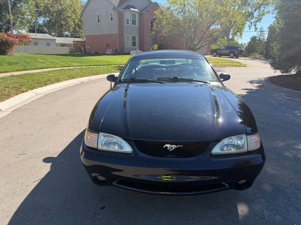 1994 Ford SN95 Mustang Cobra - Image 6 of 9