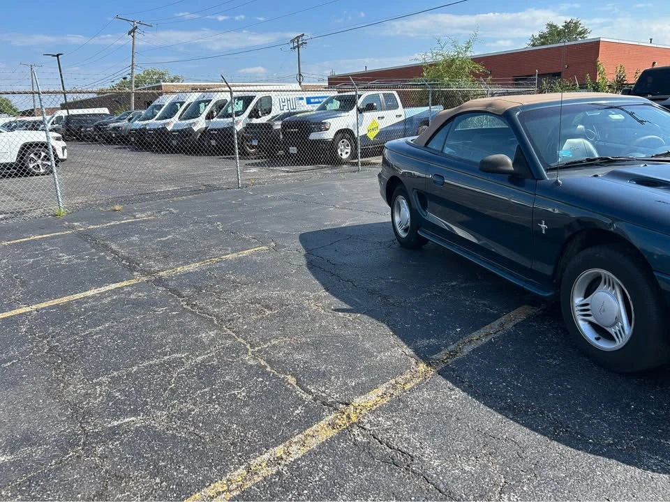 1994 Ford SN95 Mustang - Image 3 of 10
