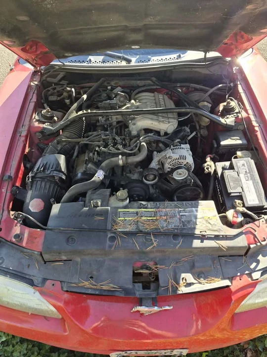 1994 Ford SN95 Mustang - Image 5 of 5