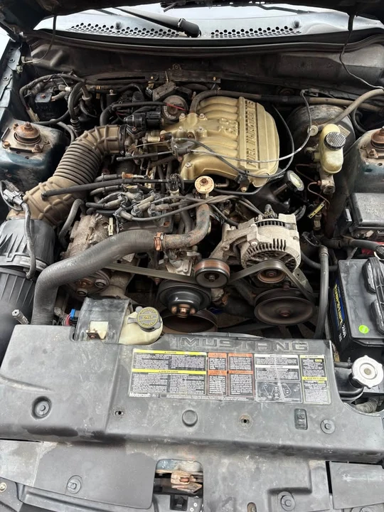 1994 Ford SN95 Mustang - Image 19 of 19