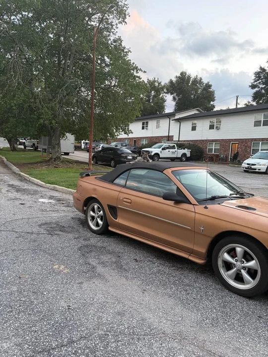 1994 Ford SN95 Mustang - Image 2 of 2