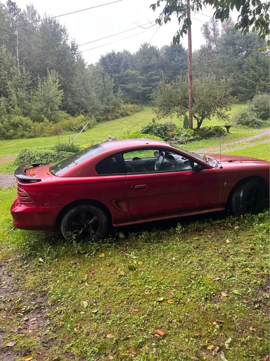 1994 Ford SN95 Mustang - Image 4 of 4