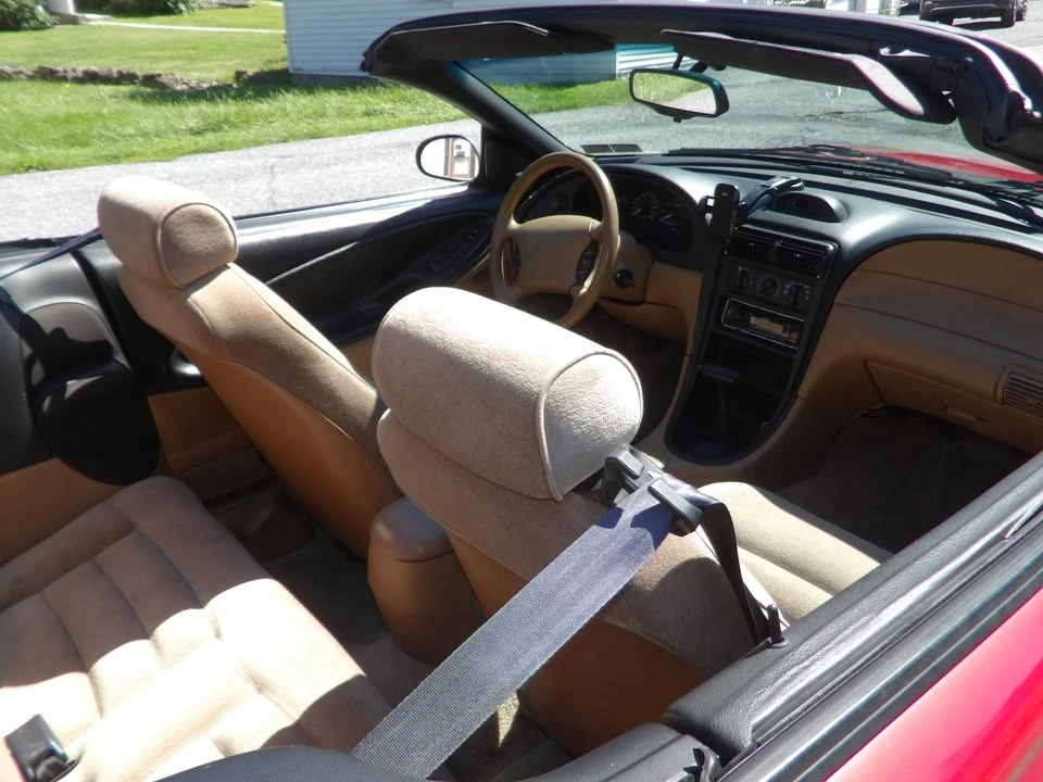 1994 Ford SN95 Mustang - Image 3 of 12