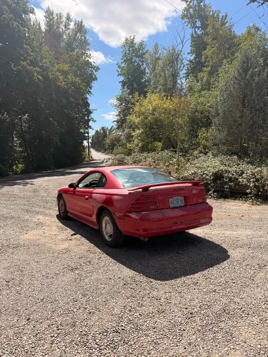 1994 Ford SN95 Mustang - Image 4 of 9