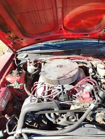 1994 Ford SN95 Mustang - Image 2 of 13