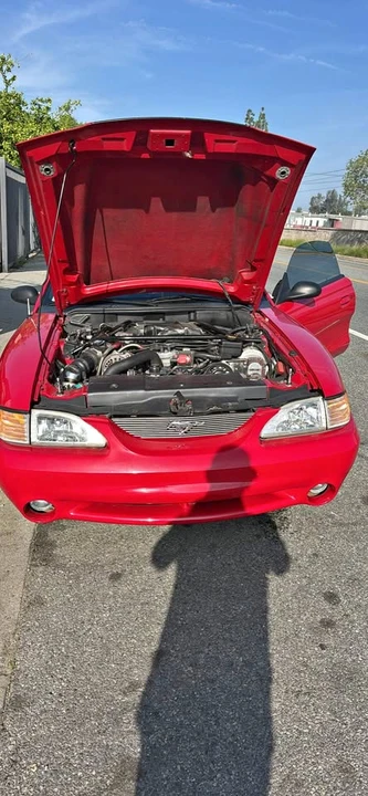 1994 Ford SN95 Mustang Cobra - Image 2 of 10