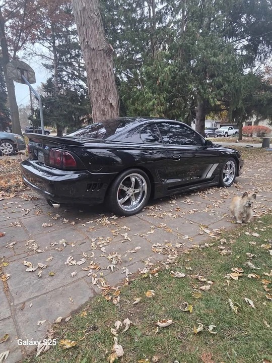 1994 Ford SN95 Mustang - Image 2 of 8