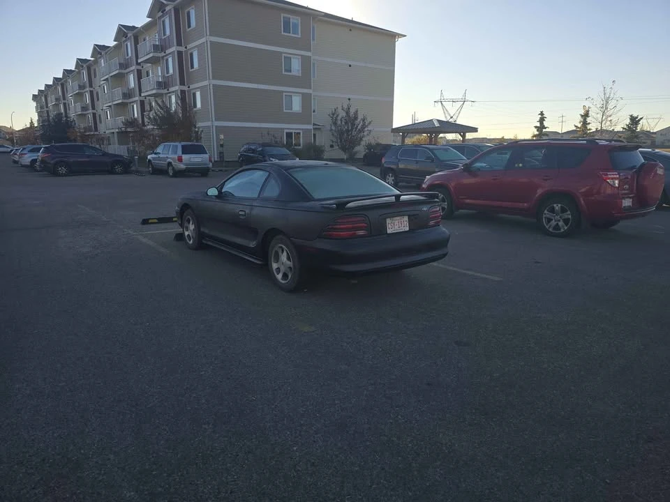 1994 Ford SN95 Mustang - Image 14 of 15