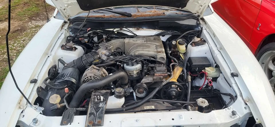 1994 Ford SN95 Mustang - Image 2 of 2