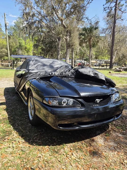 1994 Ford SN95 Mustang - Image 3 of 6