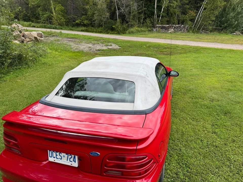 1994 Ford SN95 Mustang - Image 5 of 5