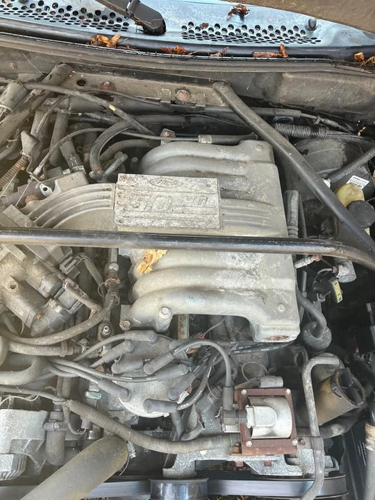 1994 Ford SN95 Mustang - Image 3 of 10