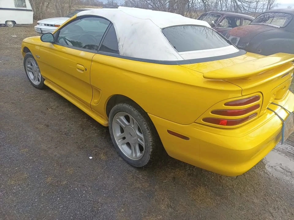 1994 Ford SN95 Mustang - Image 5 of 14