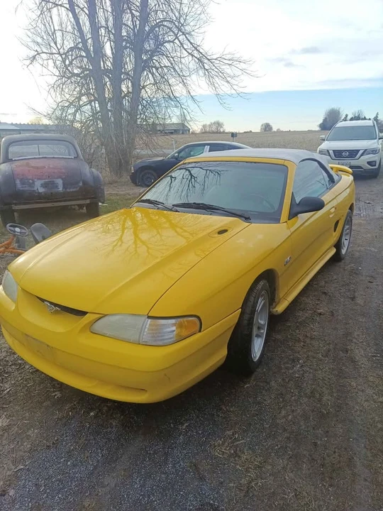 1994 Ford SN95 Mustang - Image 2 of 14