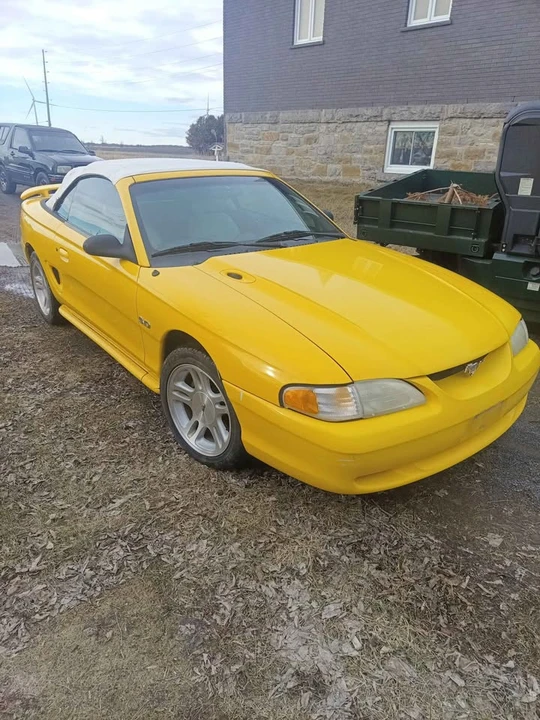 1994 Ford SN95 Mustang - Image 3 of 14
