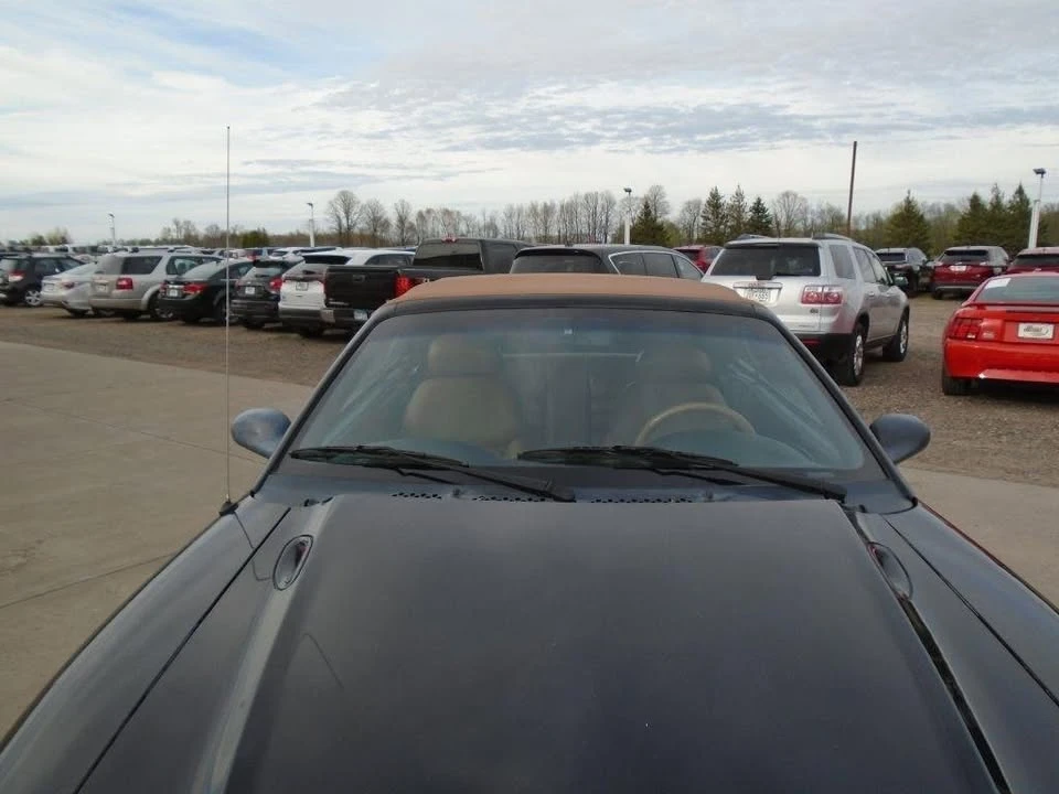 1994 Ford SN95 Mustang - Image 2 of 20
