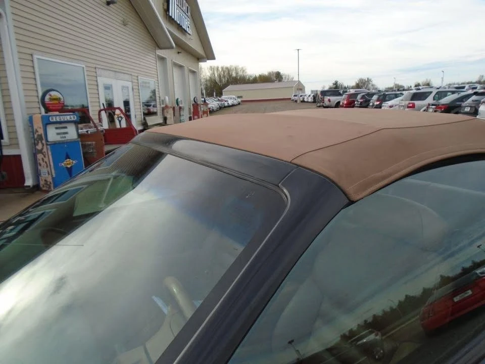 1994 Ford SN95 Mustang - Image 8 of 20