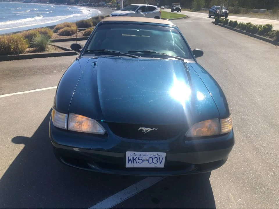 1994 Ford SN95 Mustang - Image 4 of 6