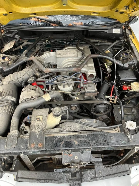 1994 Ford SN95 Mustang - Image 2 of 10