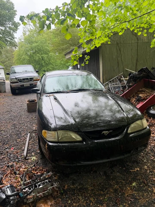 1994 Ford SN95 Mustang - Image 2 of 6