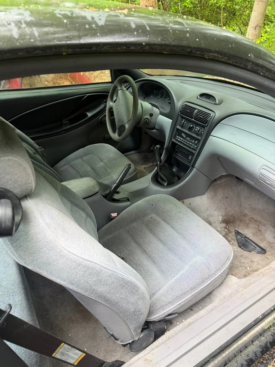 1994 Ford SN95 Mustang - Image 3 of 6