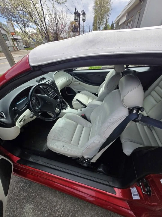 1994 Ford SN95 Mustang - Image 8 of 14