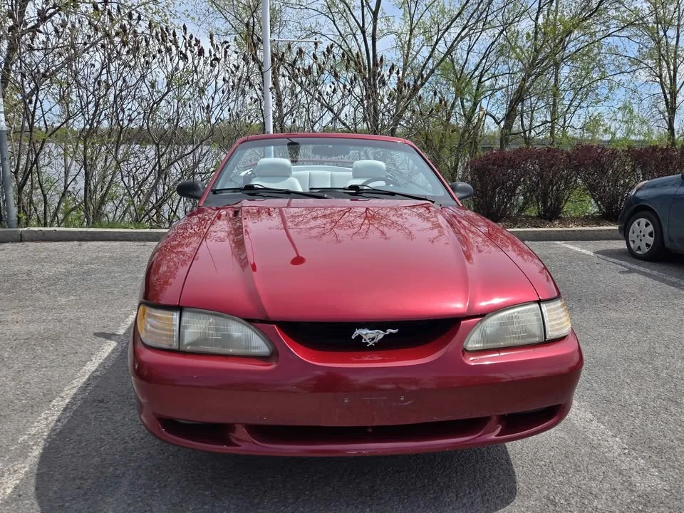 1994 Ford SN95 Mustang - Image 3 of 14