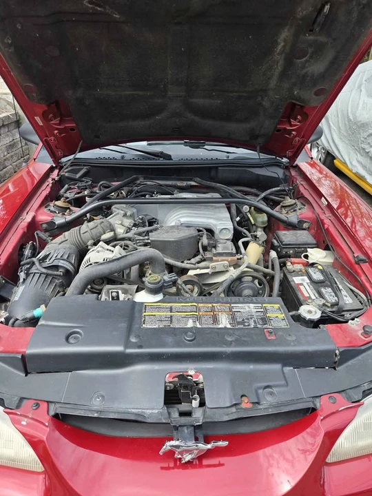 1994 Ford SN95 Mustang - Image 13 of 14