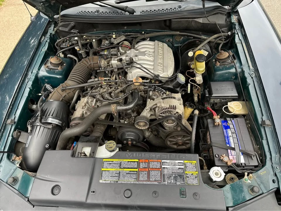 1994 Ford SN95 Mustang - Image 15 of 16