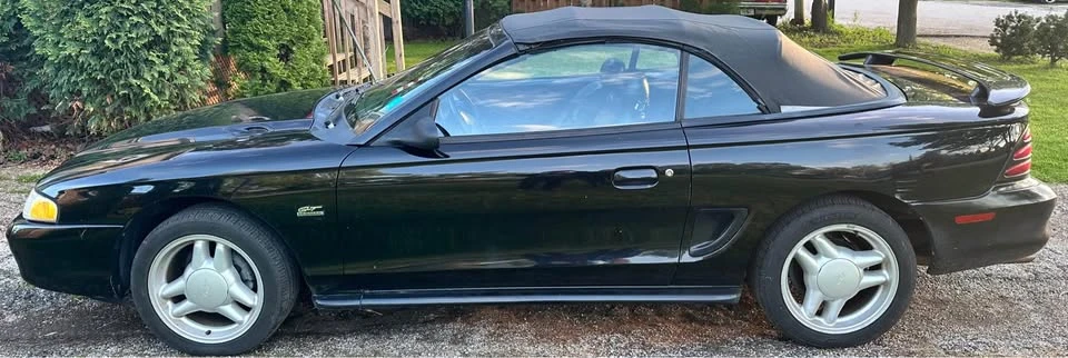 1994 Ford SN95 Mustang - Image 5 of 14